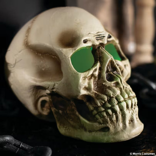 10 3/4" x 12 1/2" Giant Light-Up Skull