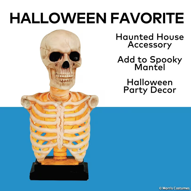 SKELETON BUST