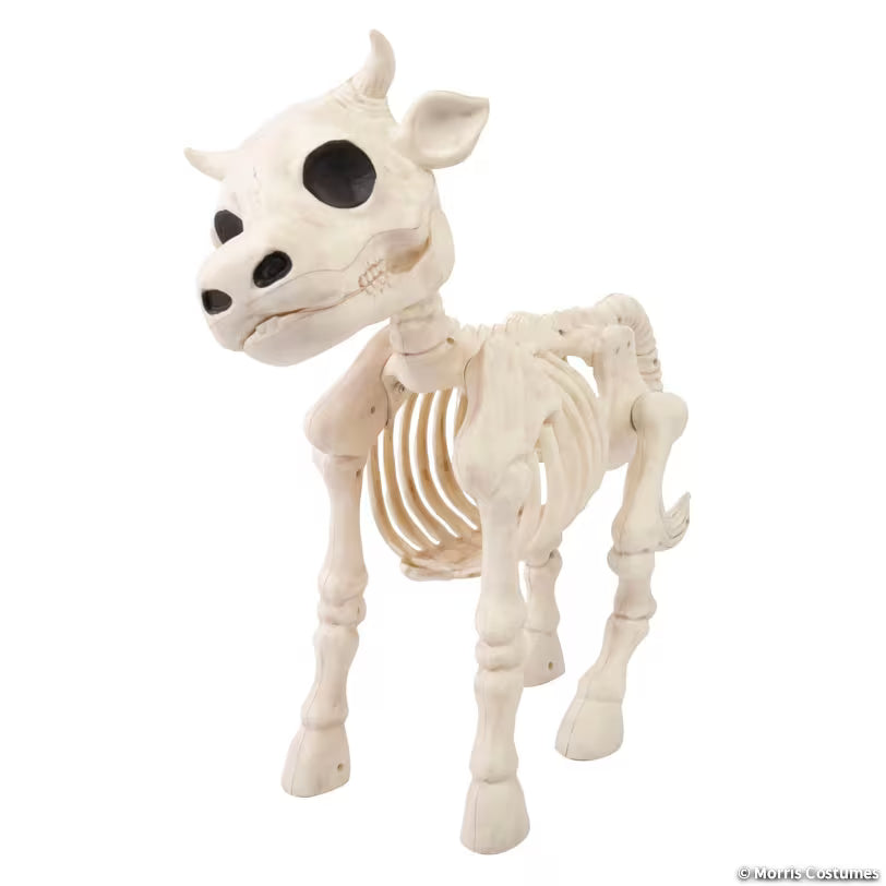 COW SKELETON