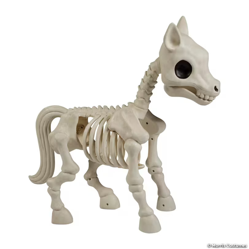 PONY SKELETON