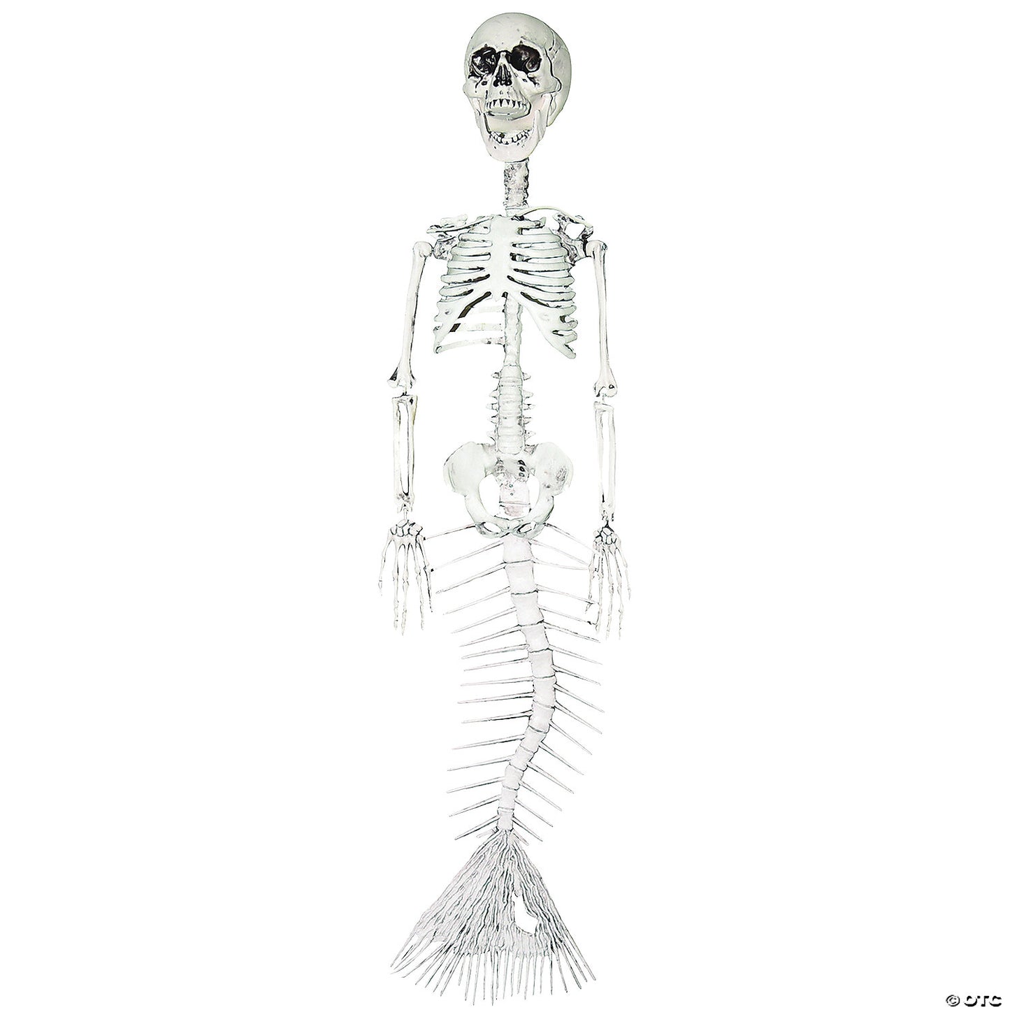 30 inch MERMAID SKELETON