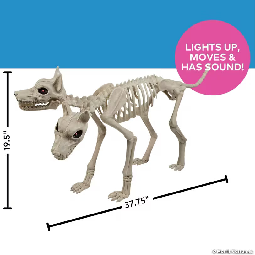37 3/4" Animated Two-Headed Doberman Dog Skeleton