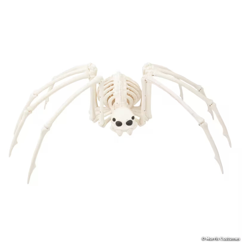 SKELETON SPIDER