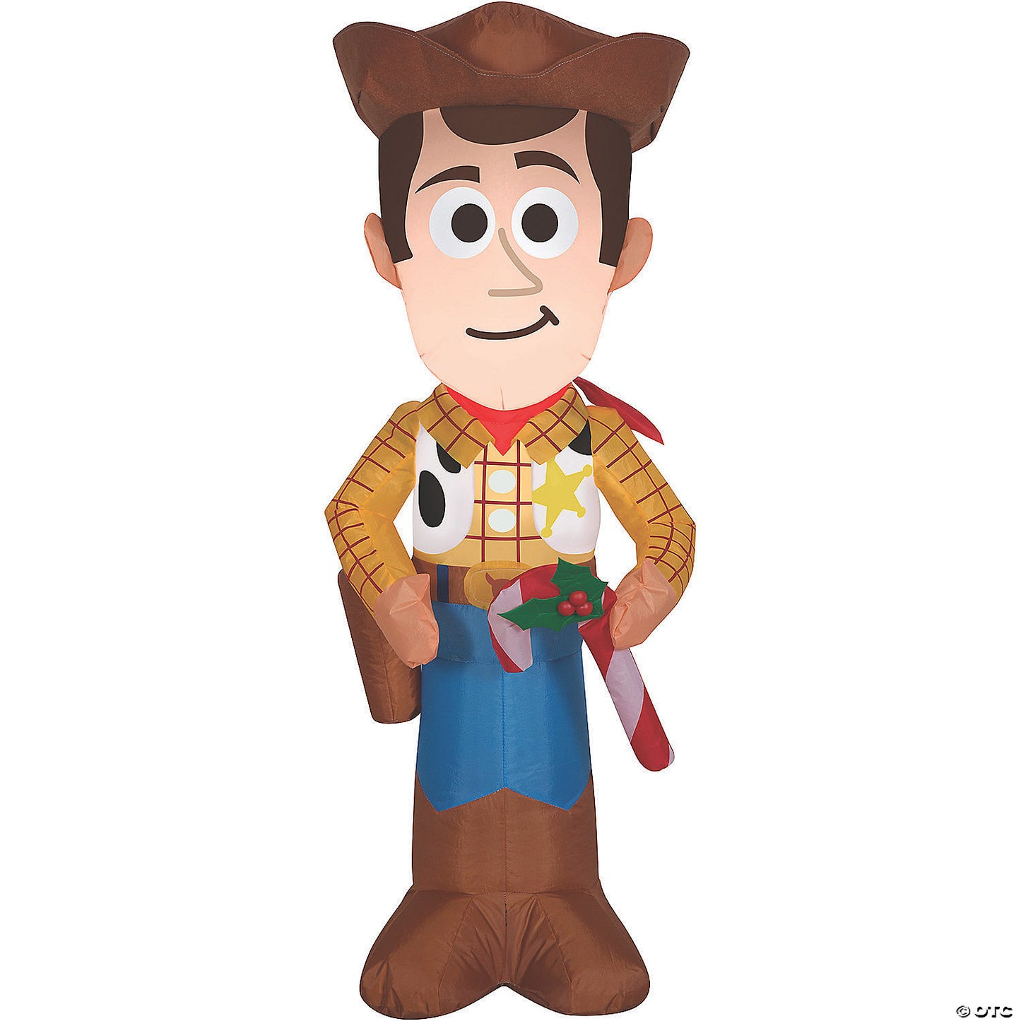 AIRBLOWN WOODY W C CANE SMALL