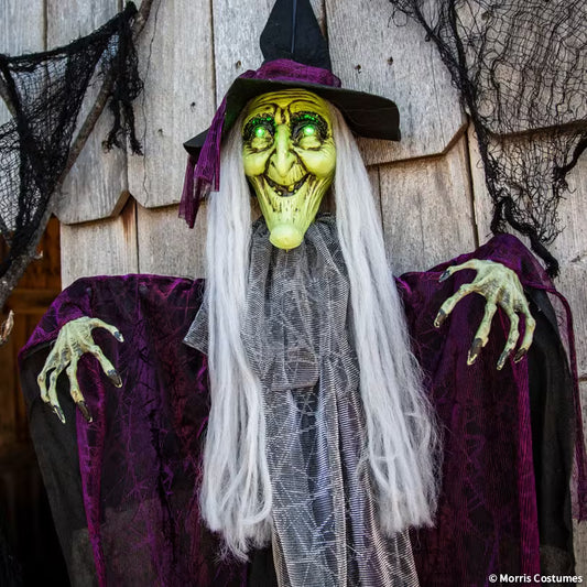 4 FT HANGING LIGHT UP WITCH W/SOUND