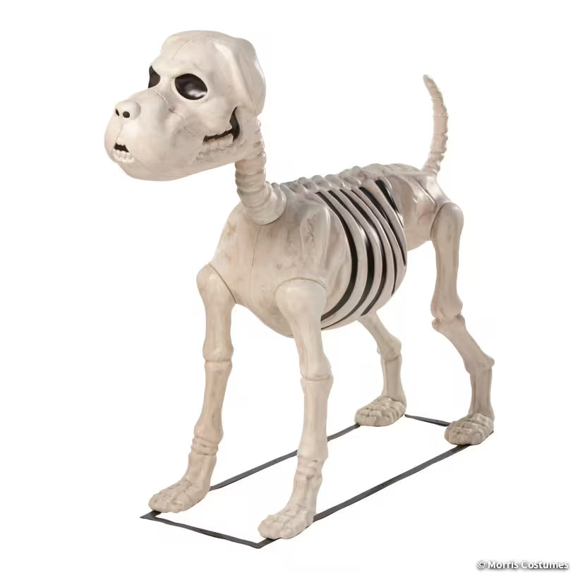 48IN DOG SKELETON