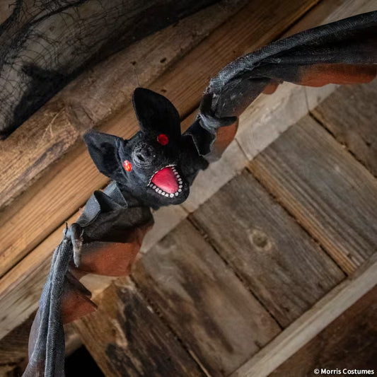 VAMPIRE BAT