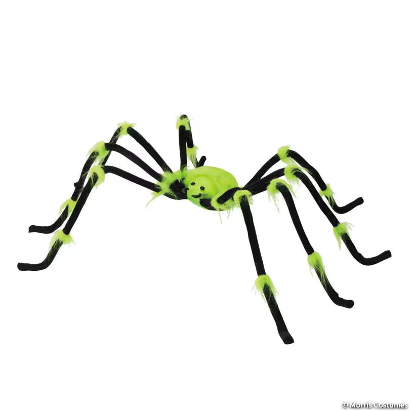 ILLUMINATED SPIDER