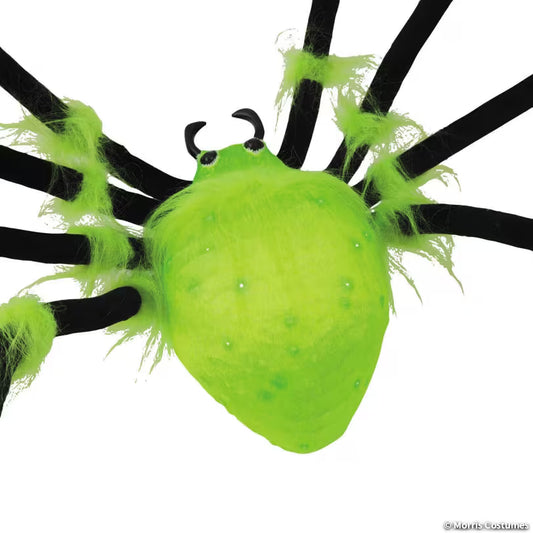 ILLUMINATED SPIDER