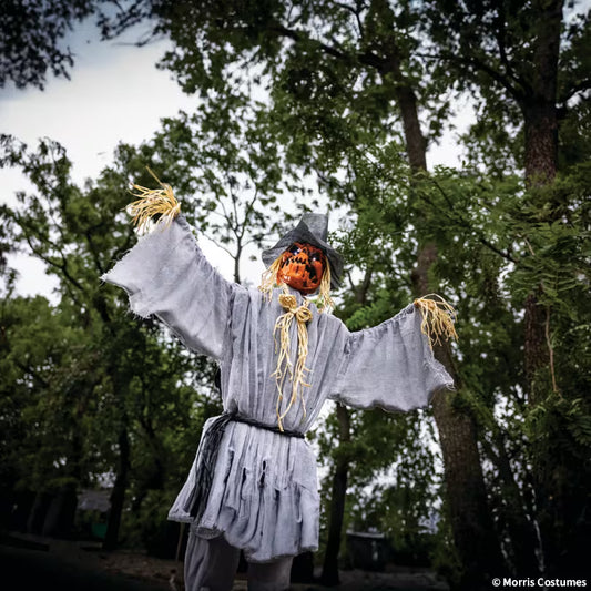 5 Ft. 8" Animated Head Turning Pumpkin Scarecrow