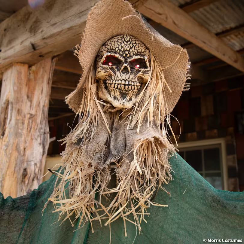 5.5 FT HANGING ANIMATED WITCH