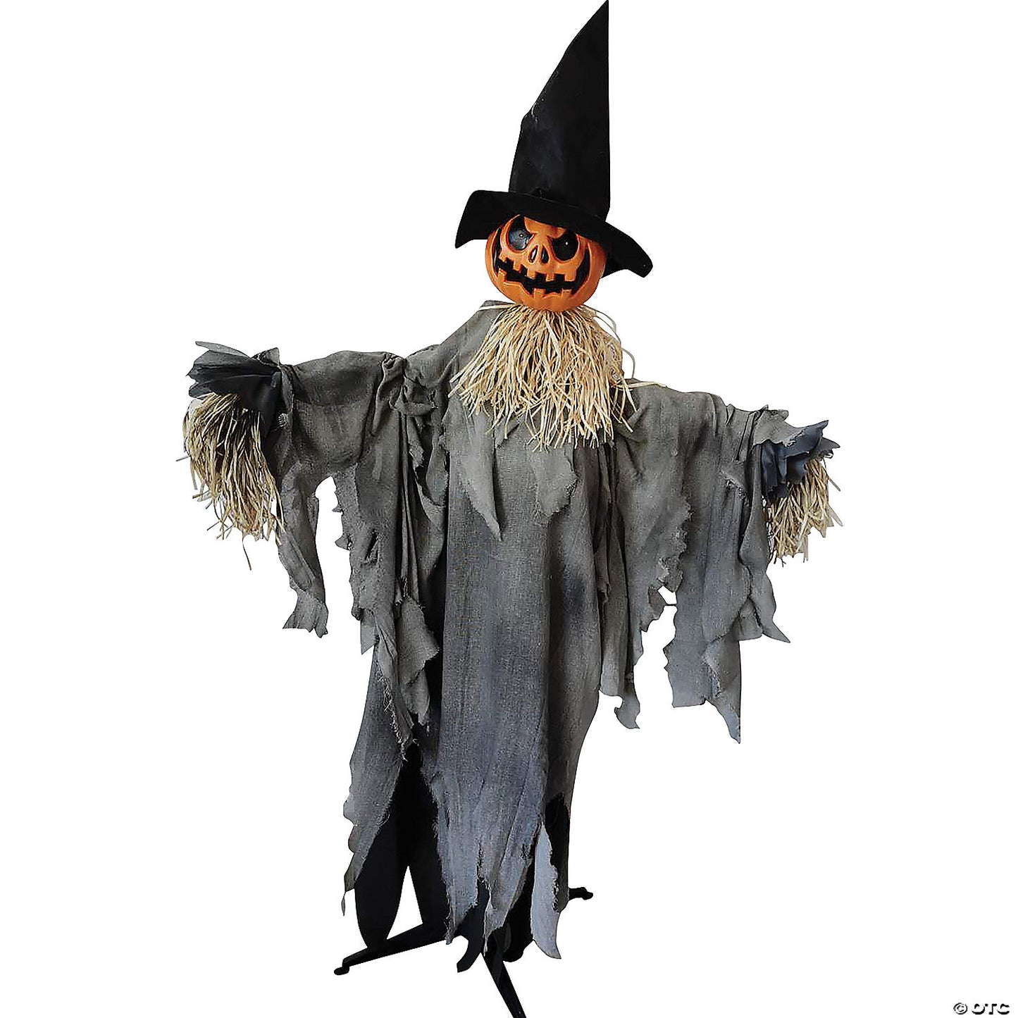 PUMPKIN ANIMATED W HAT