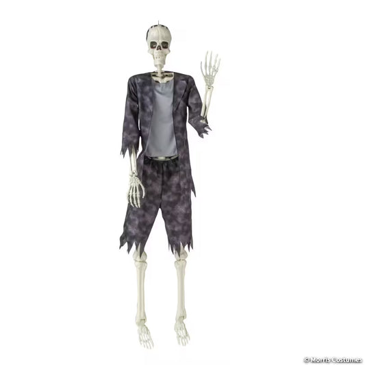FRANKY SKELETON