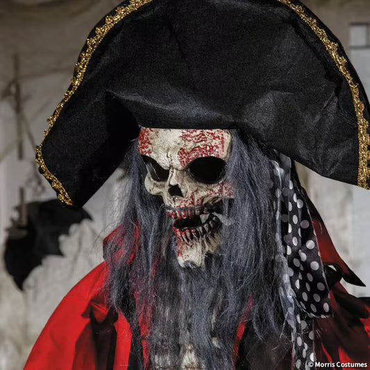 6 FT STANDING ANIMATED PIRATE