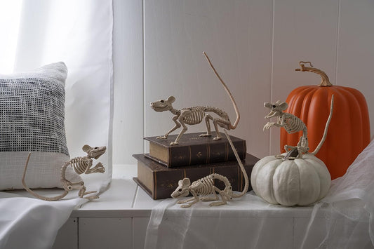 Crazy Bonez Skeleton - Rat Bonez