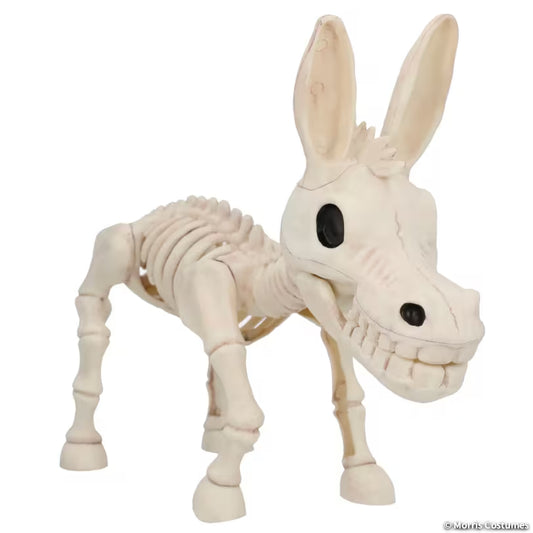DONKEY SKELETON