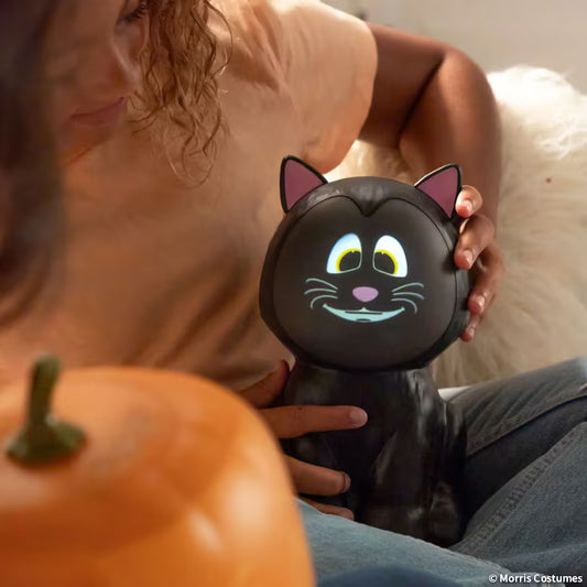 Eek The Animat3d Black Cat