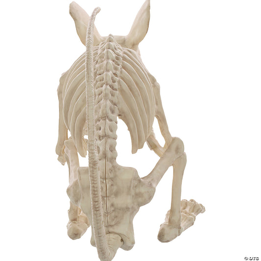 SEW81258