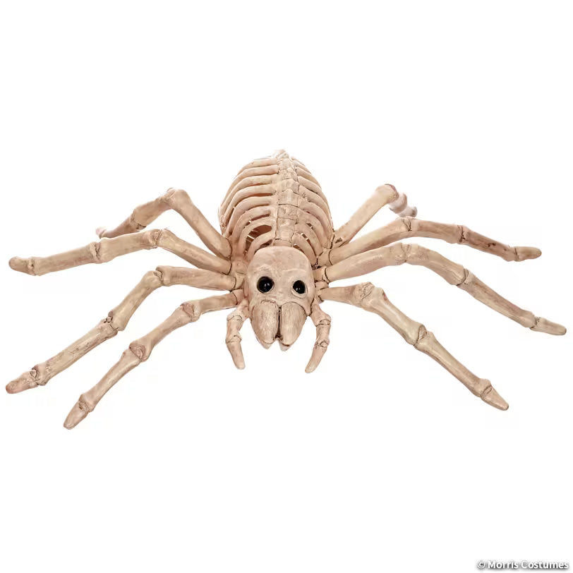 5" Skeleton Spider