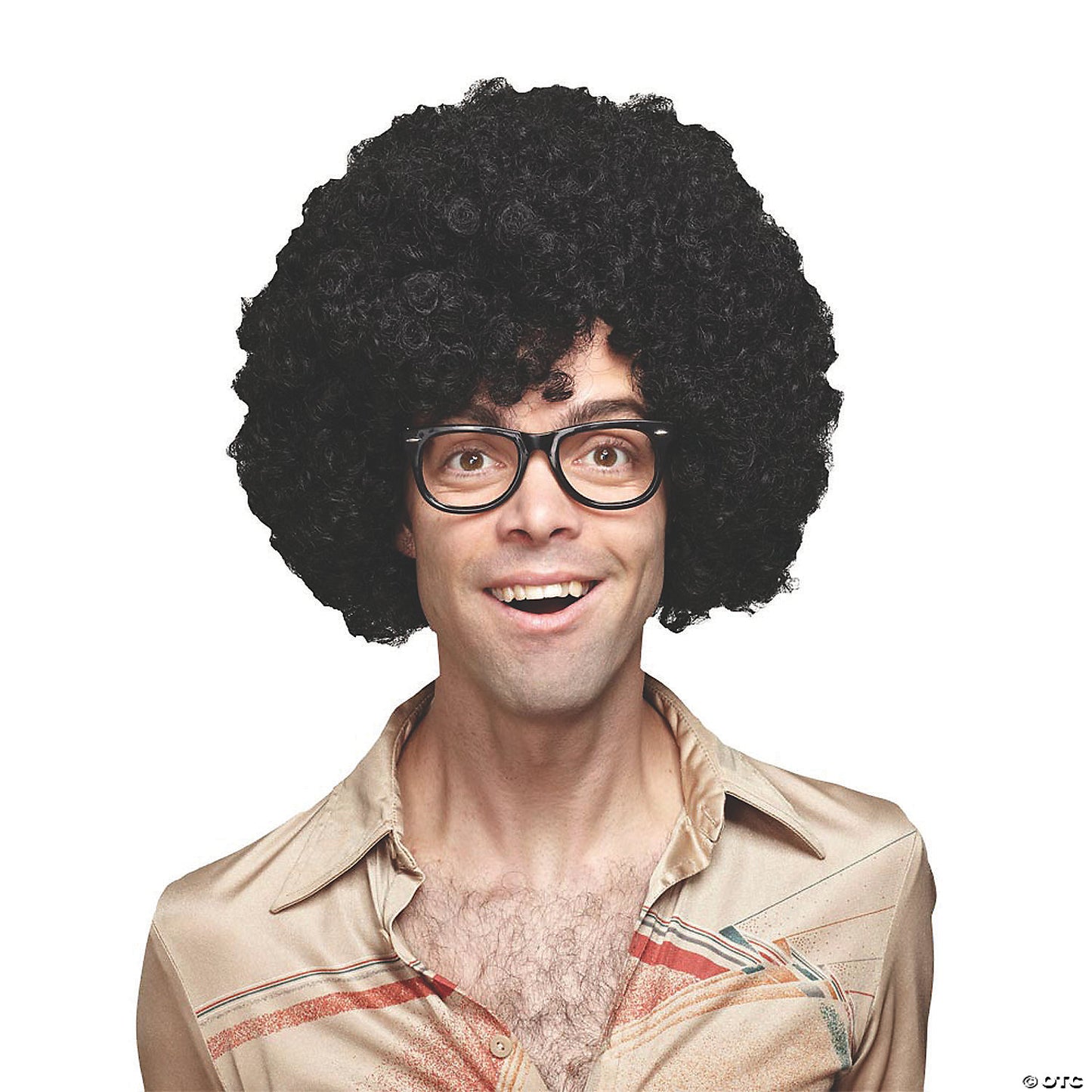AFRO WIG 22 INCH BLACK