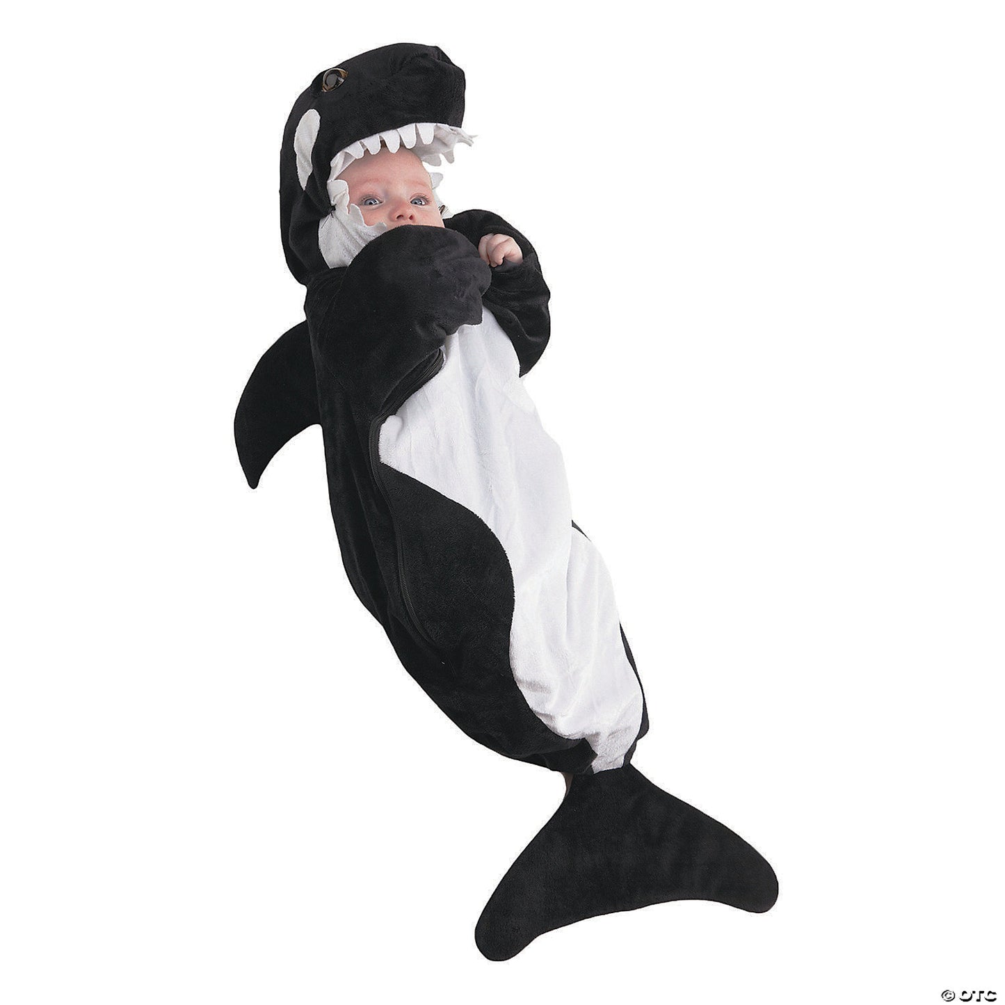 WHALE BUNTING
