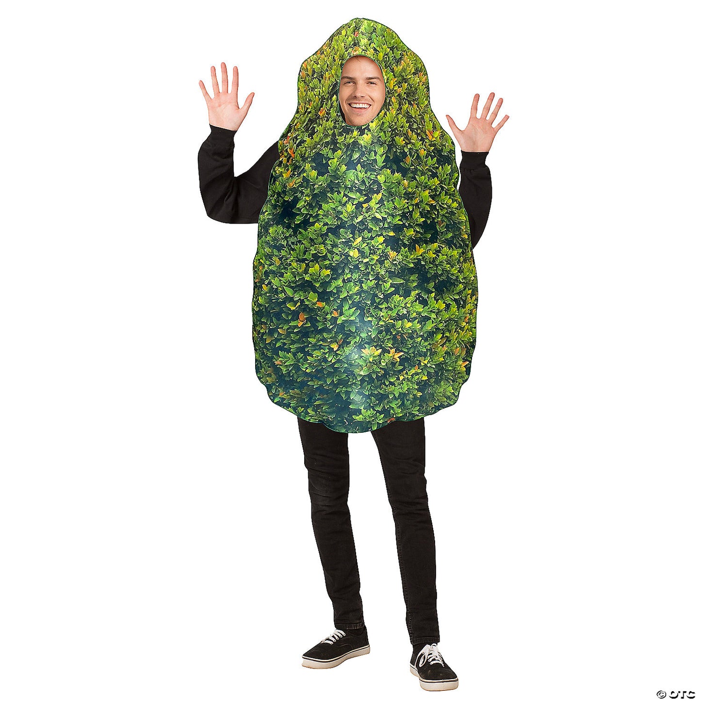BUSH