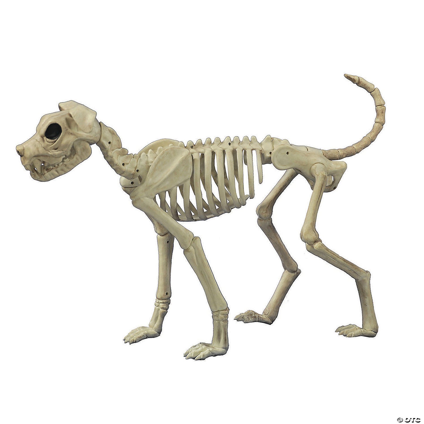 BUSTER BONEZ