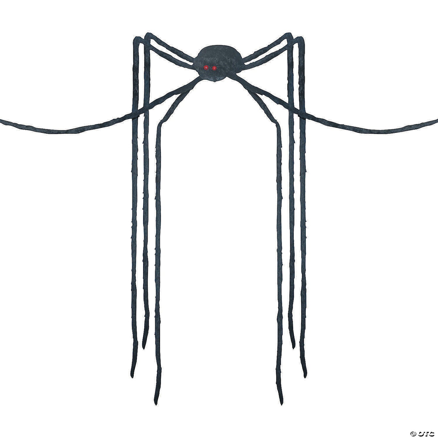 SPIDER BLACK LONG LEGS