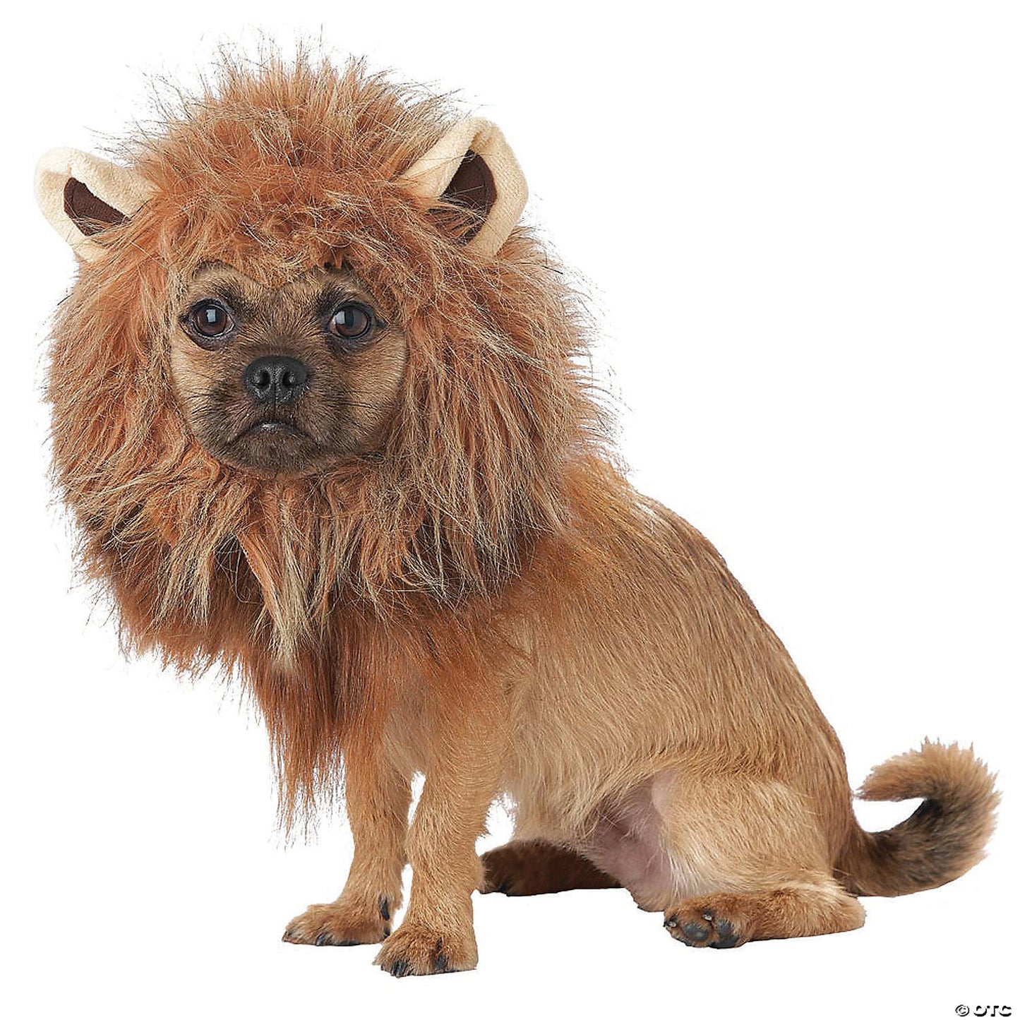 KING OF JUNGLE DOG COSTUME MD