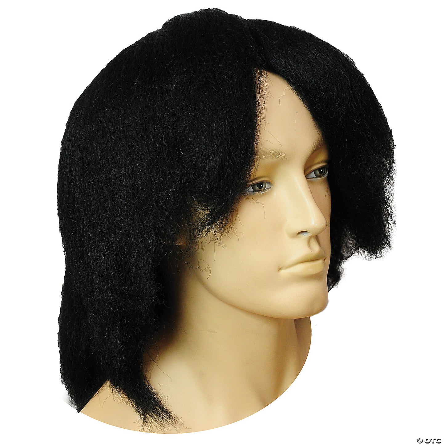 SILLY BOY DISCOUNT WIG-BLACK