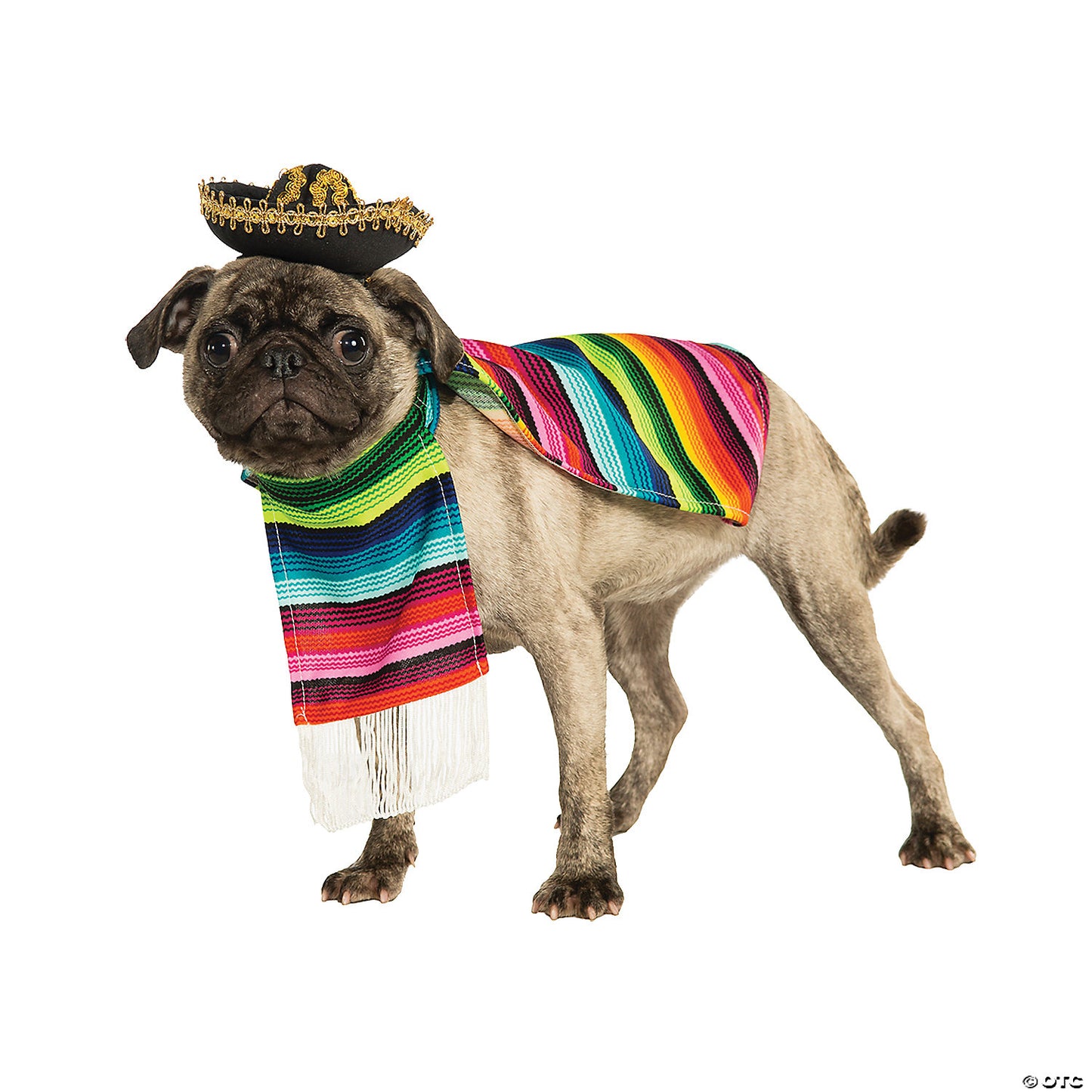 MEXICAN PONCHO PET COSTUME