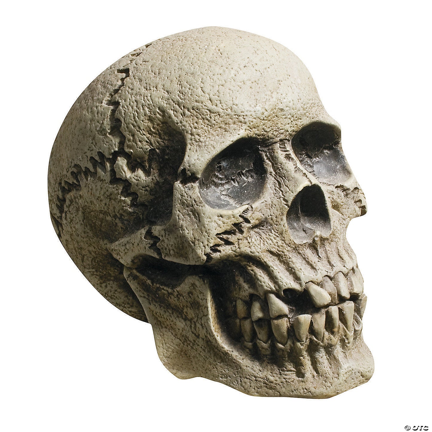 ROTTING SKULL