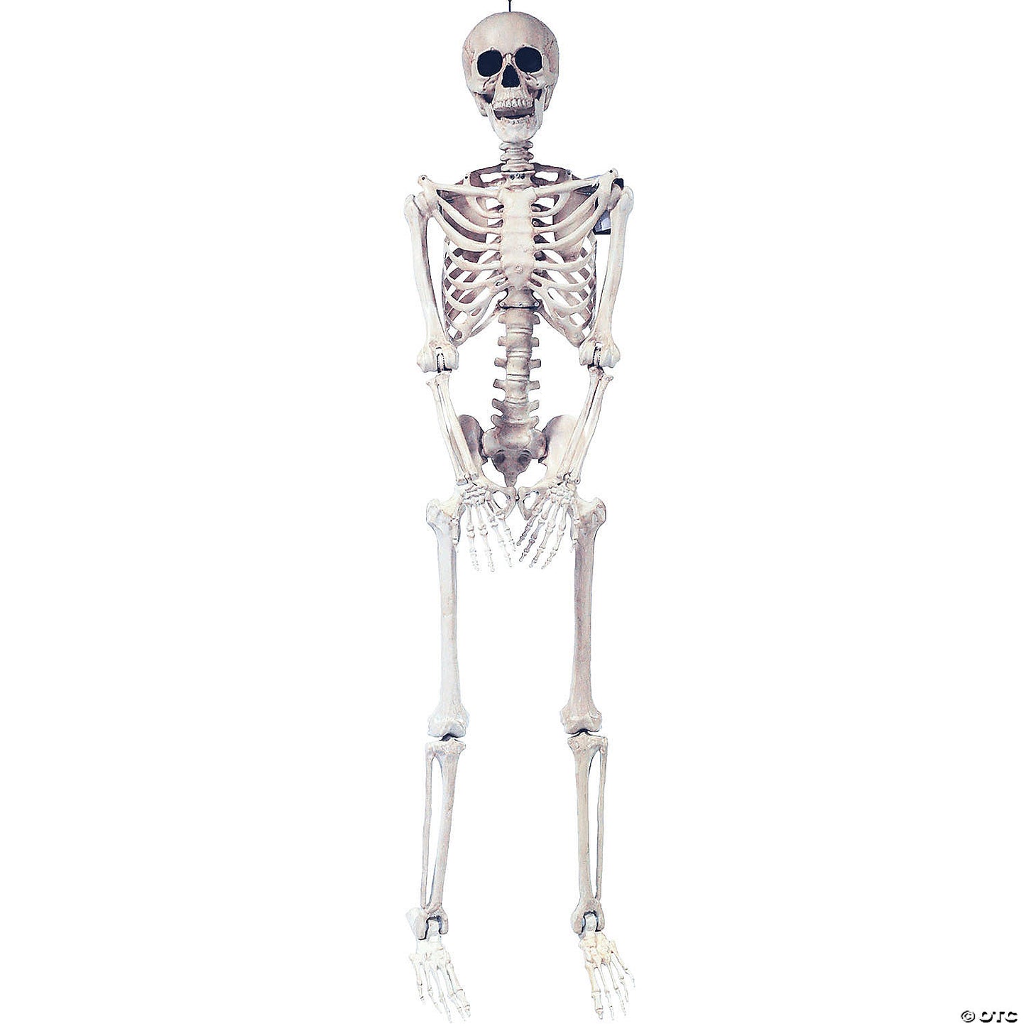 SKELETON POSE AND HOLD DECORATION