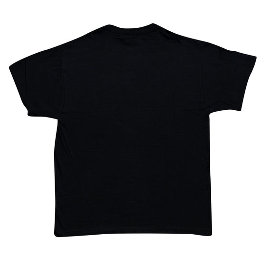 Thundercats Distressed Logo Black T-Shirt