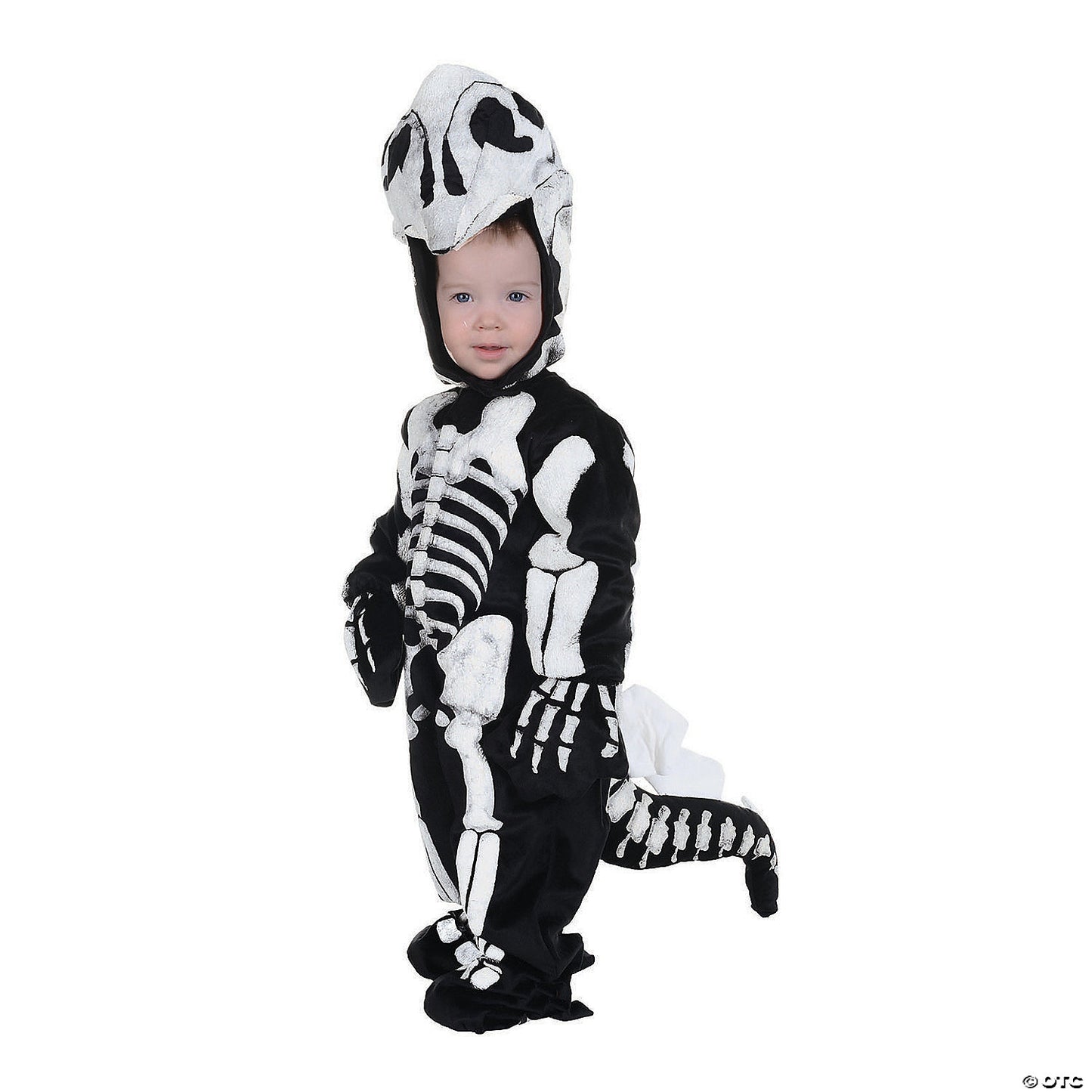 STEGOSAURUS FOSSIL TODDLER 4-6