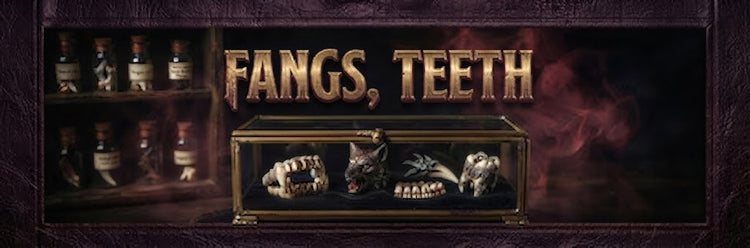 Fangs, Teeth