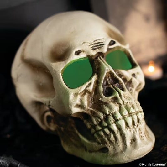 10 3/4" x 12 1/2" Giant Light-Up Skull