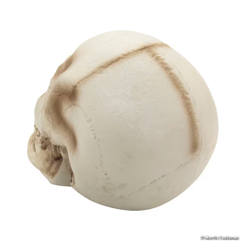 10 3/4" x 12 1/2" Giant Light-Up Skull