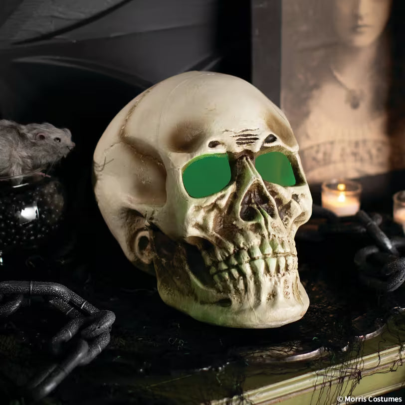 10 3/4" x 12 1/2" Giant Light-Up Skull