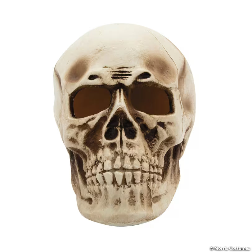 10 3/4" x 12 1/2" Giant Light-Up Skull