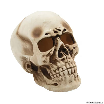 10 3/4" x 12 1/2" Giant Light-Up Skull