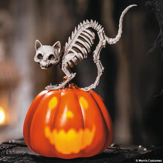 TABLE TOP-ANIMATED PUMPKIN