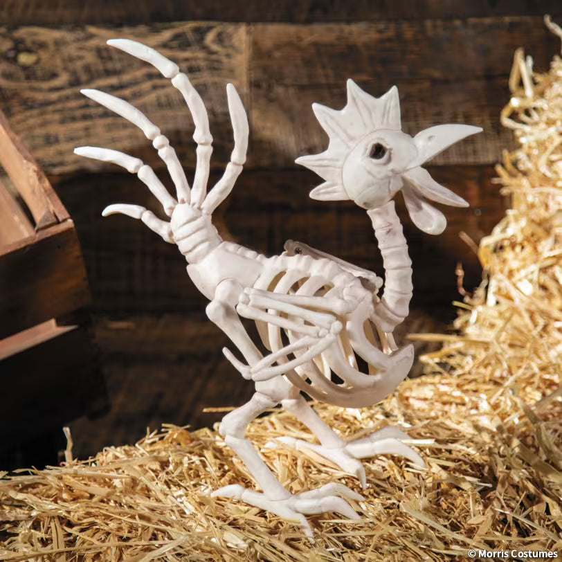 SKELETON ROOSTER
