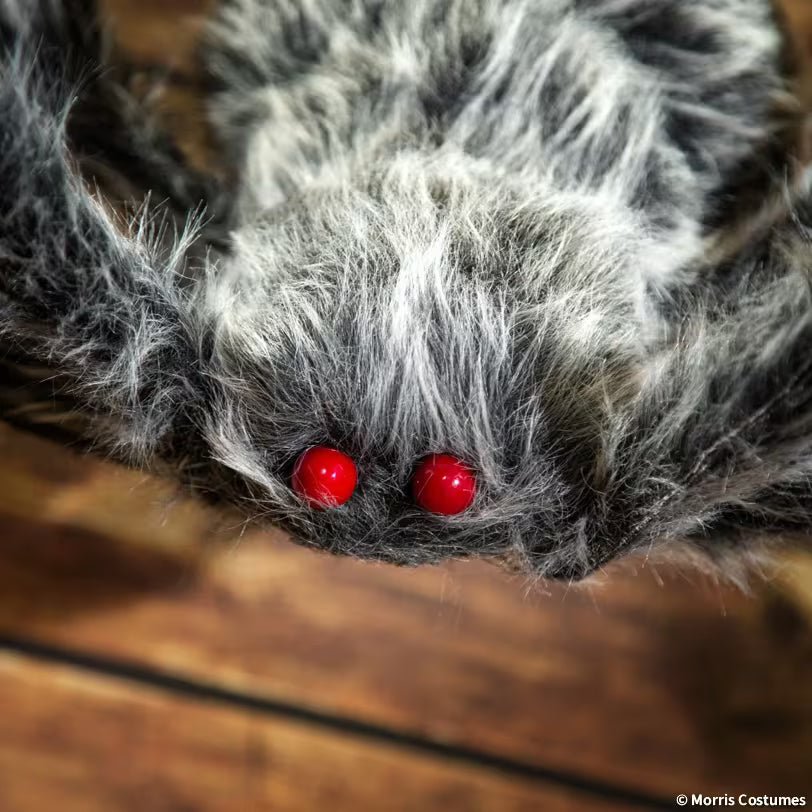 12 Ft. 5 1/2" Giant Poseable Furry Black Foam Spider Halloween Decoration