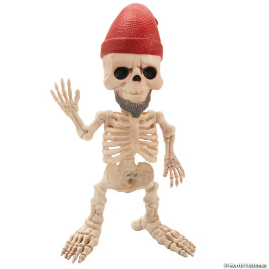 GNOME SKELETON