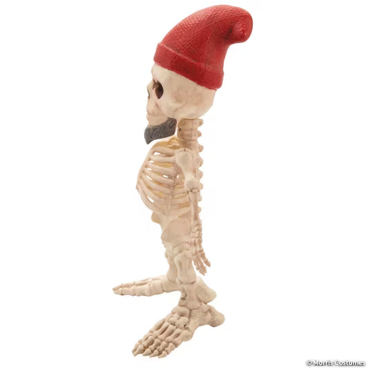 GNOME SKELETON
