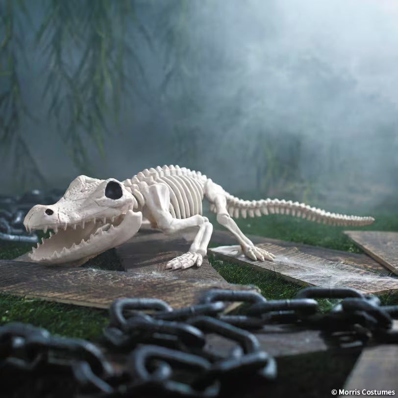 CROCODILE SKELETON