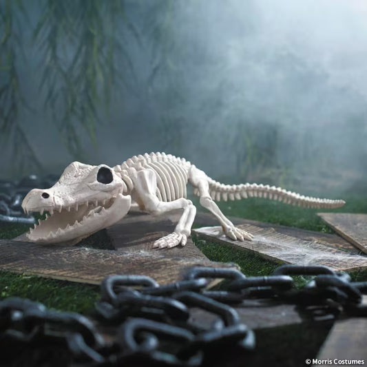 CROCODILE SKELETON