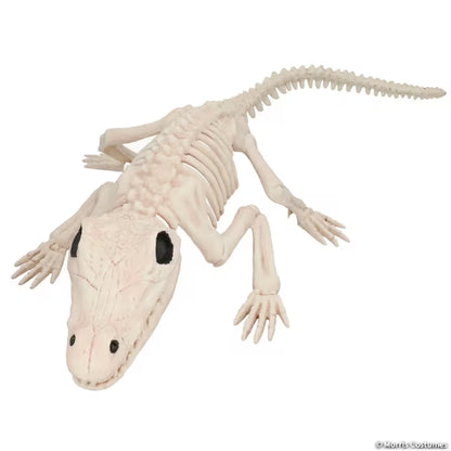 CROCODILE SKELETON