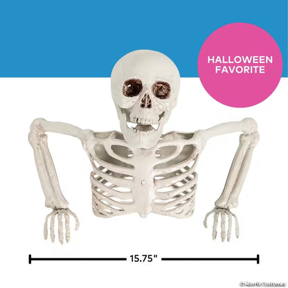 TABLE TOP-HALF SKELETON